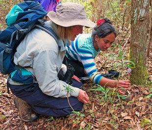 Mangabe Forest Conservation Project, Madagascar