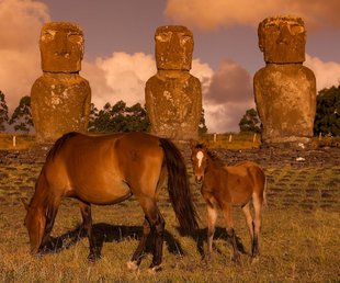 horses heads easter island.jpg