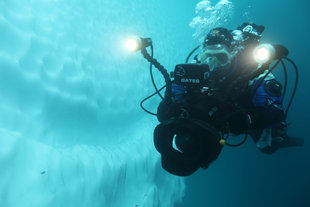 Antarctic Diving
