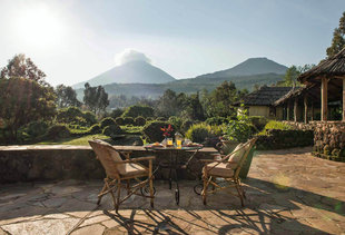 Tea in view of the Virunga Volcanoes