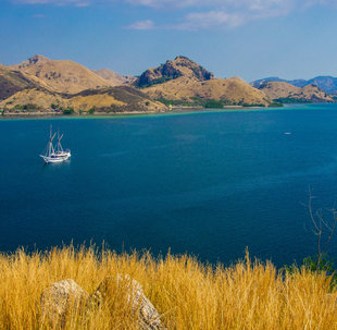 Komodo-National-Park-Island-Hopping-Yacht-Safari-Bali-sailing-wildlfe-culture-snorkelling-kayaking-indonesia.jpg