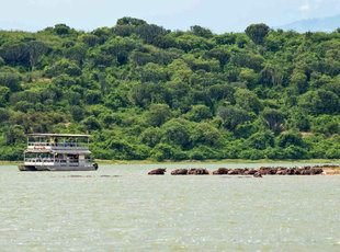 The Mabamba Swamps of Uganda