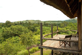 Overlooking the African Bush of the Queen Elizabeth National Park