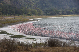 Empakaai Crater Soda Lake in Ngorongoro