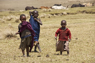 Maasai Village in Ngorongoro Highlands