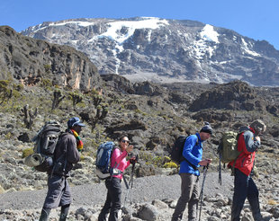 Small Group Climb on Mount Kilimanjaro