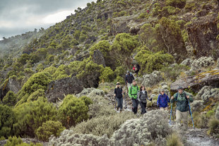 Shira Route, Mount Kilimanjaro - Oana Dragan
