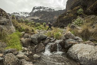 Barranco Camp to Karanga Camp, Mount Kilimanjaro - Oana Dragan