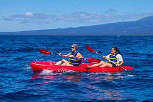 passion passengers kayaking wildlife yacht safari.jpg