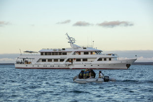 rib galapagos wildlife yacht safari.jpg