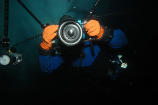 diver-photography-antarctica-wildlife-wilderness-cruise-voyage-diving.jpg