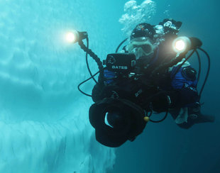 diving-in-antarctica-photography-dive-marine-life-iceberg-diver-wildlife-cruise-voyage-antarctic-polar-ice-iceberg-travel-adventure-liveaboard.jpg