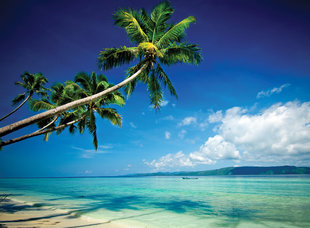 Beach at Kri Island Eco Resort, Raja Ampat - Scott Graham