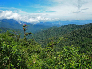Ecuador's Choco Andes Cloud Forest Views between Yunguillas and Santa Lucia Photograph by Roly Pitts