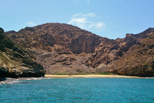 Punta Pitt on San Cristobal island is th only place where 3 species of Booby can be seen together