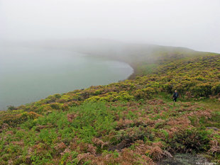 El Junco lagoon San Cristobal, Galapagos - crater lake & freshwater lagoon with sedge habitat for endemic Mockingbird. Photo by Mikko Koponen