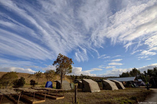 Tree Nursery and Mobile Safari Camp photo by Kathleen Varcoe