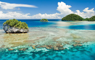 Coral Reef at Kri Island, Raja Ampat