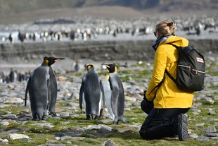 Sitting-with-penguins-Gareth-Joseph.jpg