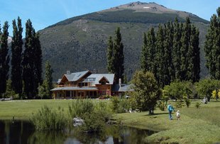 Poplars on Bariloche Estancia