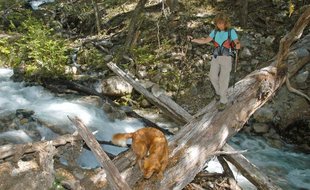 Trekking with Dog in Bariloche