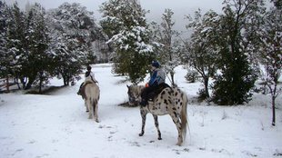 Winter Horse riding in Patagonia