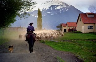 corrales-estancia-argentina-horse-riding-gacho-patagonia.jpg