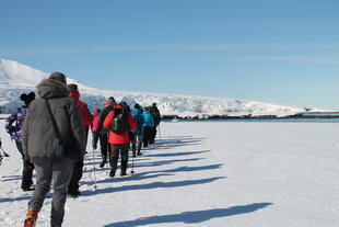 Snowshoe Walking Arctic Lawrence Pinkney