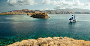 komodo-island-national-park-indonesia-coral-reef-dive-liveaboard-voyage-vacation-holiday-scuba-diving-adventure-underwater-macro-photography-travel-sailing-yacht-bann.jpg