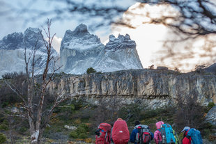 Trek Valle Francés patagonia wildlife torres del paine.jpg