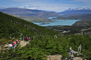 Trek Valle Francés Torres del Paine.jpg