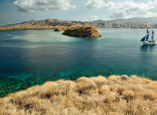 Dive Liveaboard in Komodo National Park