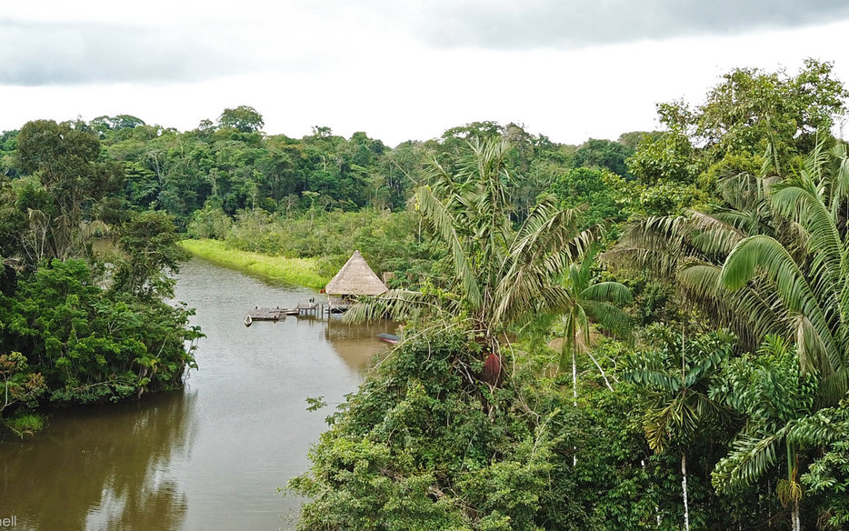 Amazon Canoe Kichwa Lodge &amp; Camping Wildlife Rainforest 
