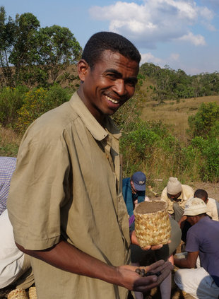 Tree Planting Reforestation & Habitat Reconstruction in Madagascar funded by Aqua-Firma Rainforest4Climate