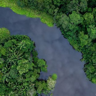 Blackwater Rive in the Ecuadorian Amazon - perfect for kayaking!
