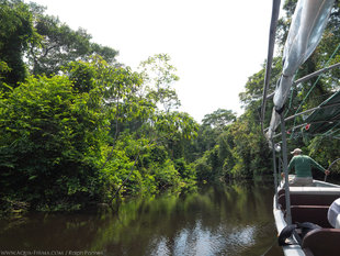 Exploring 'blackwater' tributaries of Ecuador's Amazon