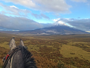 On a Longer Riding Trail to Cotopaxi Volcano