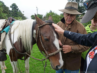 Horses are from mixed Criollo (native South American), English thoroughbred and Arabian stock