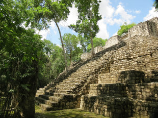 One of many Pyramids we can climb at Calakmul