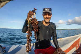 The Fishing Line, released from Whale Shark TZ-101