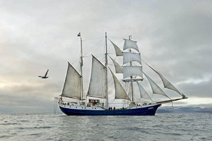 Tallship Sailing in Spitsbergen - Arjan Bronkhorst