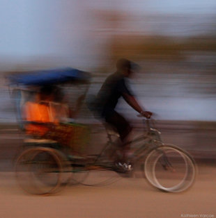 Rickshaw in the Alley of Baobab trees near Morondava in Madagascar (Kathleen Varcoe)
