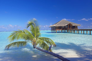 Maldives Island Resort with Dive Centre in Meemu Atoll