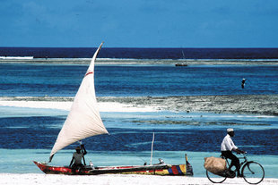 Stunning white sand beach coastlines of southern Kenya