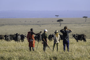 kenya-walking-safari-holiday-masai-mara-reserve.jpg