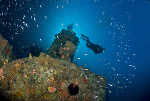 Wreck Diving on Maldives Dive Liveaboard