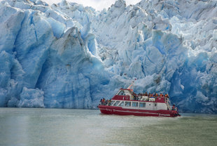 Grey Glacier - Torres del Paine