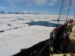 S/V Noorderlicht & Polar Bear