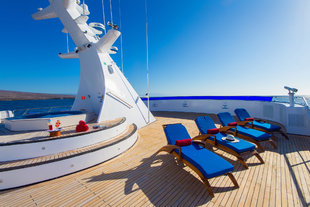 Ocean Spray Sun Deck