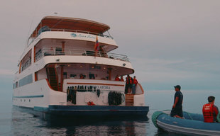 Sea Star Journey Boarding Platform